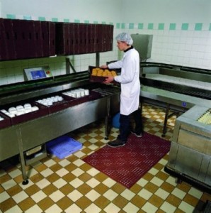 Sanitop Red - Gastro rohoz